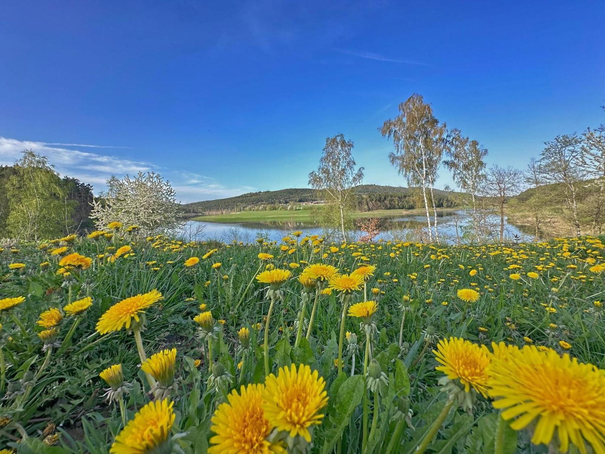 Feriendorf Seeblick - Tinyhouse Direkt Am See Neunburg vorm Wald Exteriér fotografie